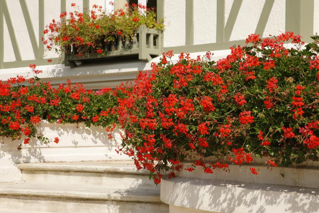 Manoir De Benerville Bed & Breakfast Deauville Bagian luar foto