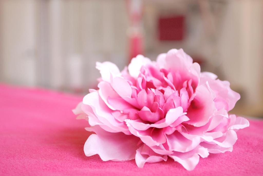 Manoir De Benerville Bed & Breakfast Deauville Bagian luar foto
